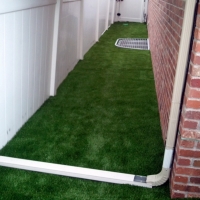 Artificial Grass Auburndale Florida Lawn Back Yard