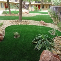 Artificial Grass Christmas Florida Landscape Back Yard