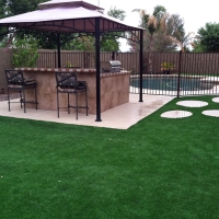 Artificial Grass Fern Park Florida Landscape Commercial