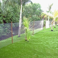 Artificial Grass Ferndale Florida Lawn Front Yard