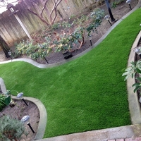 Artificial Grass Frostproof Florida Lawn