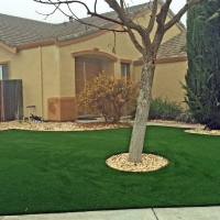 Artificial Grass Fuller Heights Florida Landscape