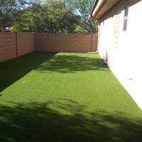 Artificial Grass Glencoe Florida Landscape Back Yard