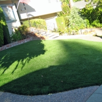 Artificial Grass Glencoe Florida Lawn Front Yard