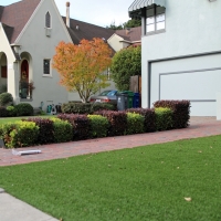 Artificial Grass Highland City Florida Landscape Back Yard