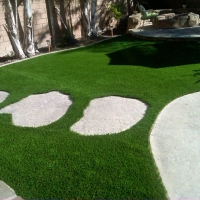 Artificial Grass Hillcrest Heights Florida Lawn Back Yard