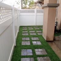 Artificial Grass Indian Harbour Beach Florida Landscape