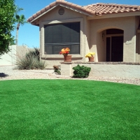 Artificial Grass Jan-Phyl Village Florida Lawn Front Yard