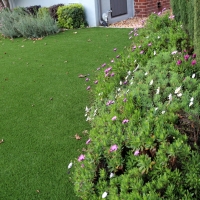 Artificial Grass Lakeland Highlands Florida Lawn Front Yard