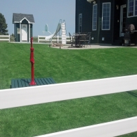 Artificial Grass Loughman Florida Landscape Swimming Pools