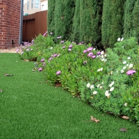 Artificial Grass Melbourne Village Florida Landscape Recreational