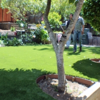 Artificial Grass Mulberry Florida Landscape