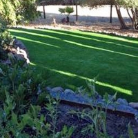 Artificial Grass Orange City Florida Landscape Front Yard