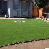 Artificial Grass Plant City Florida Landscape