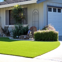 Artificial Grass Polk City Florida Lawn Back Yard