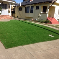 Artificial Grass South Daytona Florida Lawn Back Yard