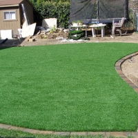 Artificial Grass Winston Florida Landscape Back Yard