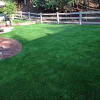 Artificial Pet Grass Babson Park Florida Installation Back