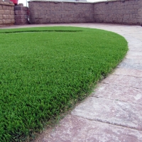 Artificial Pet Turf Waverly Florida for Dogs Front Yard