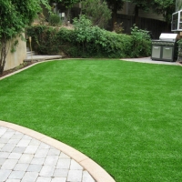 Artificial Turf Cape Canaveral Florida Landscape Front