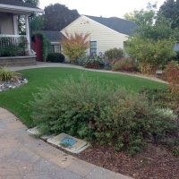 Artificial Turf Cocoa Beach Florida Landscape Back Yard