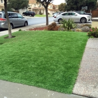 Artificial Turf Daytona Beach Florida Landscape Swimming