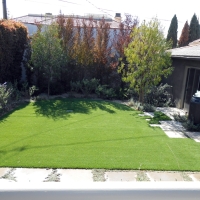 Artificial Turf Groveland Florida Lawn Back Yard