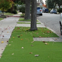 Artificial Turf Hillcrest Heights Florida Landscape Fountans