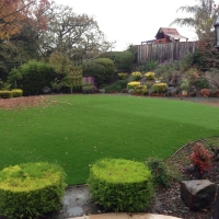 Artificial Turf Jan-Phyl Village Florida Lawn Front Yard