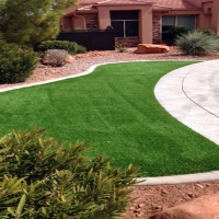 Artificial Turf Lake Mary Florida Lawn Back Yard