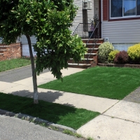 Artificial Turf Minneola Florida Lawn Back Yard