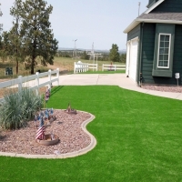 Artificial Turf Mount Dora Florida Landscape Front Yard