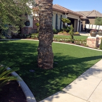 Artificial Turf Southchase Florida Landscape Parks