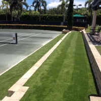 Artificial Turf Winston Florida Landscape