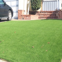 Artificial Turf Zephyrhills North Florida Lawn Back Yard