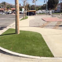 Fake Grass Astor Florida Landscape Front Yard