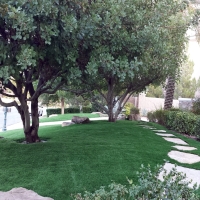 Fake Grass Citrus Ridge Florida Landscape Back Yard