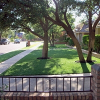 Fake Grass Citrus Ridge Florida Lawn