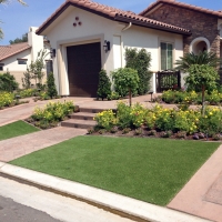 Fake Grass Fruitland Park Florida Landscape Front Yard