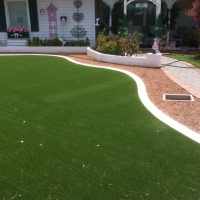 Fake Grass Gotha Florida Landscape