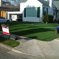 Fake Grass Lady Lake Florida Lawn Back Yard