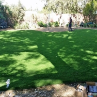 Fake Grass Leesburg Florida Landscape Front Yard