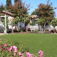 Fake Grass New Smyrna Beach Florida Landscape Back Yard