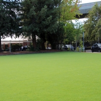 Fake Grass Pittman Florida Landscape Back Yard