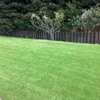 Fake Grass Samsula-Spruce Creek Florida Lawn Back Yard