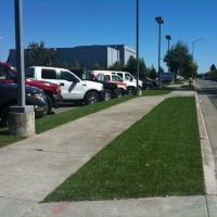 Fake Grass Tangelo Park Florida Lawn Back Yard