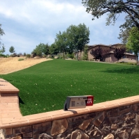 Fake Grass Umatilla Florida Landscape Back Yard