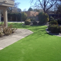 Fake Grass Union Park Florida Landscape