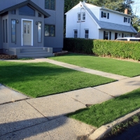 Fake Grass Wahneta Florida Landscape Front Yard