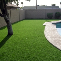 Fake Turf De Land Southwest Florida Lawn Front Yard